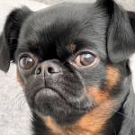 kienviplc Profile Picture