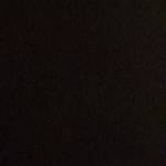 Thanh A Profile Picture