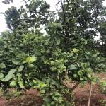 Timbantinh123456 Profile Picture