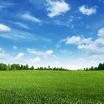 Quán Nguyên Profile Picture