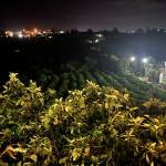 overlord Profile Picture