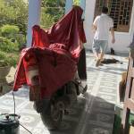 Huywin Profile Picture