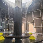 Truong Nguyen Profile Picture