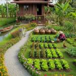 tùng nguyễn Profile Picture