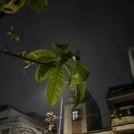 Sim Huáng Profile Picture