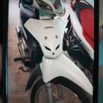 Nguyen nhut tan Nguyen Profile Picture