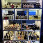 David Nguyen Profile Picture