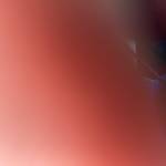 Thuận Trần Profile Picture