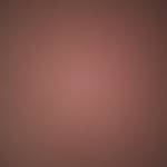 Phong Vo Profile Picture