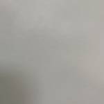 Minh ho Nguyen Profile Picture