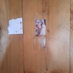 Phú Ha Profile Picture