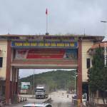 Nam Trâng Profile Picture