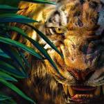 Đạt Mai Profile Picture