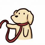 BeN Nguyên Profile Picture