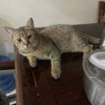 Wxzppp Profile Picture