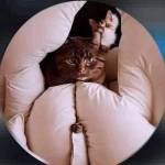 Quốc hùng Nguyễn Profile Picture