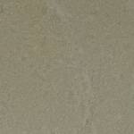 Thái An Profile Picture