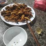 tuấn trần Profile Picture