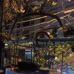 Polo Be Profile Picture