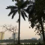 Hihi Profile Picture