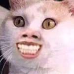 phuong Nguyễn Profile Picture