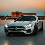 nguyễn trần Profile Picture