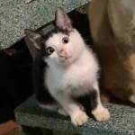 Vt72 Tđ Profile Picture