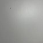 tan dat Dinh Profile Picture