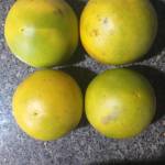 Phương Đăng Profile Picture