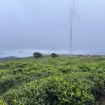 Tuấn Đinh Profile Picture