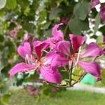 Hoàng Nguyễn Profile Picture