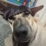 Minh Nhut Profile Picture