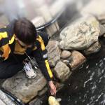 Phan Tuyên Profile Picture