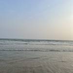 Huynl902 Profile Picture