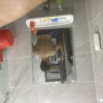 Joro Joro Profile Picture