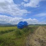 Taxi Dien Profile Picture