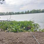 Taolao9999 Profile Picture