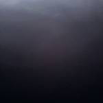 Hoai Le Profile Picture