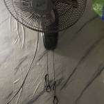 Cường Nguyễn Profile Picture