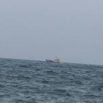 vnat1203 Profile Picture