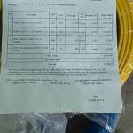 Dam1234567890 Profile Picture