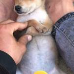 Văn Teo Profile Picture