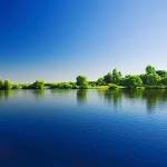 Dũng Nguyễn Profile Picture