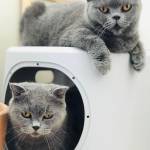 hoàng Huy Profile Picture