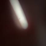 Hùng Lê Profile Picture