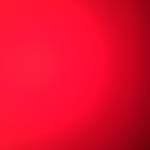 Trung Phan Profile Picture