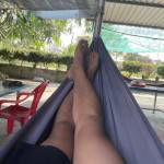 Đạt Nguyễn Profile Picture