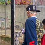 Thành Trần Profile Picture