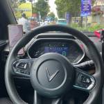 Dai Dài Profile Picture