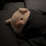 Hoang Hai Profile Picture